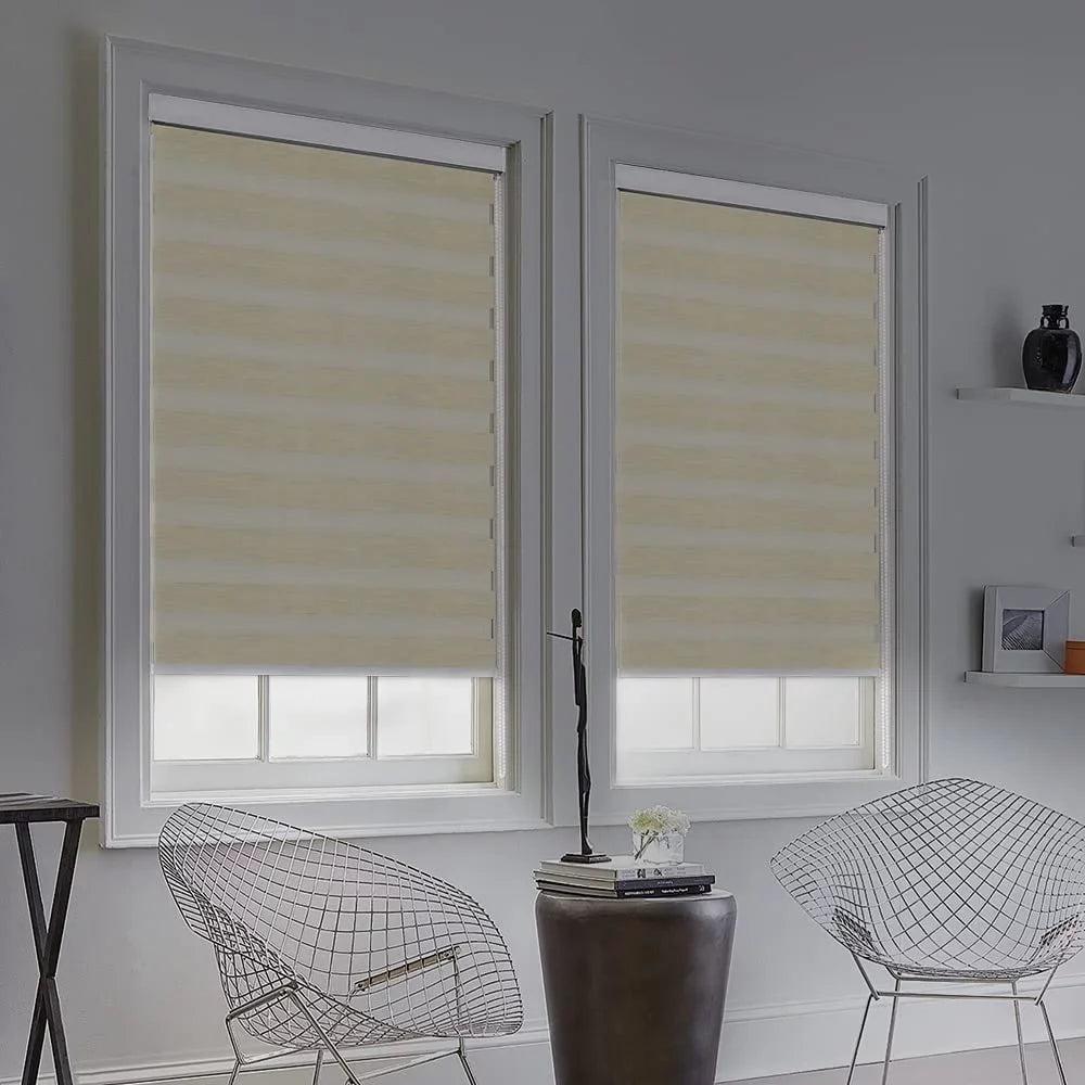 Zebra Blinds for Windows, Dual Layer Roller Sheer Shades Blinds for Day and Night, Light Control Window Treatments Shades with Valance Cover, 29" W x 72" L, Striped Beige