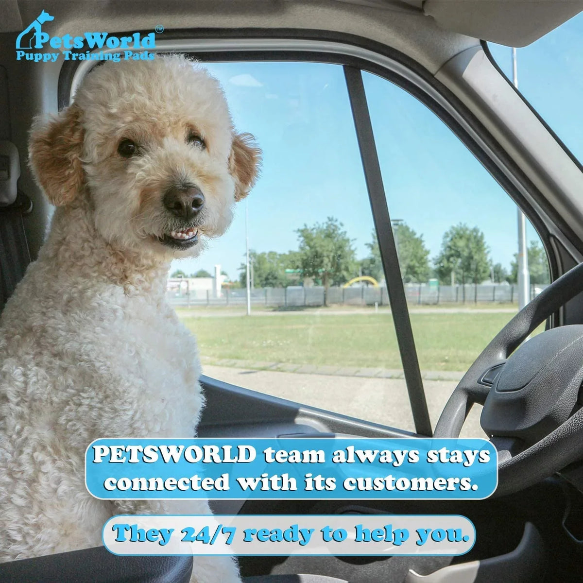 Mastiff's Massive Dog Training/Potty Pads, 28x44 inch, 1,000 Ct,  Gigantic, Tear Resistant, Super Absorbent & Leak-Proof