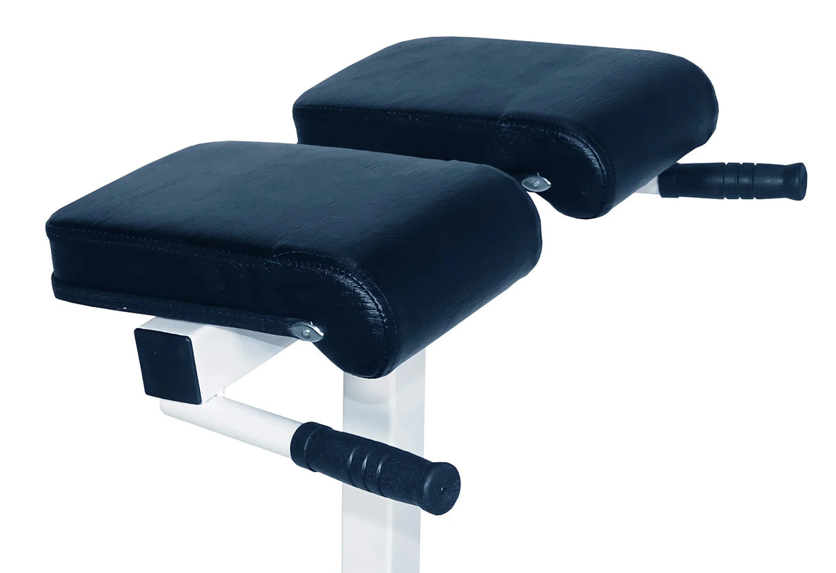 Adjustable Hyper Extension Bench with Maximum Weight of 400 lbs (DF404) by Deltech Fitness