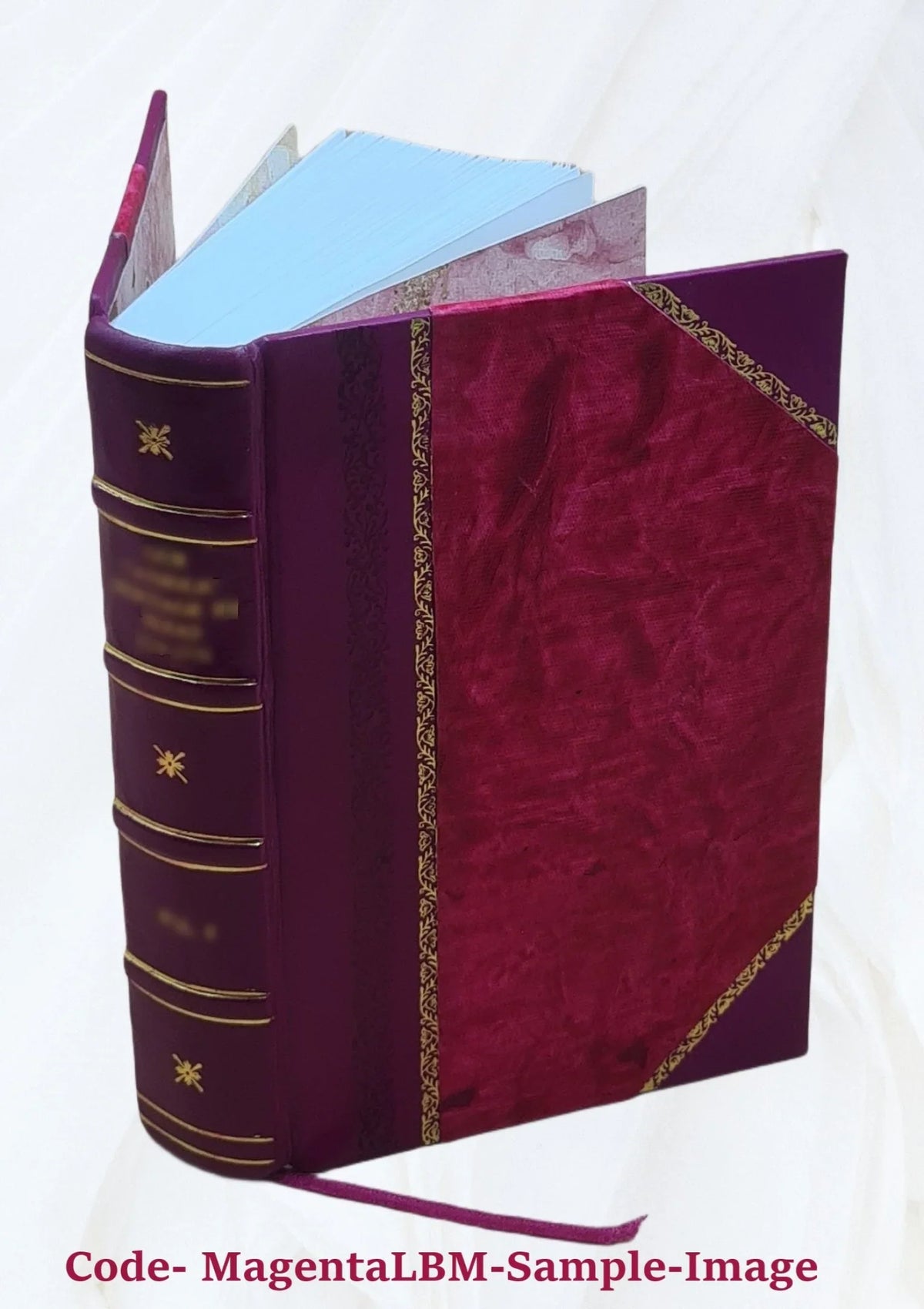 Le ricche minere della pittvra veneziana. Compendiosa informazione di Marco Boschini, non solo delle pitture publiche di Venezia: ma dell'isole ancora circonuicine ... 1674 [Leathe