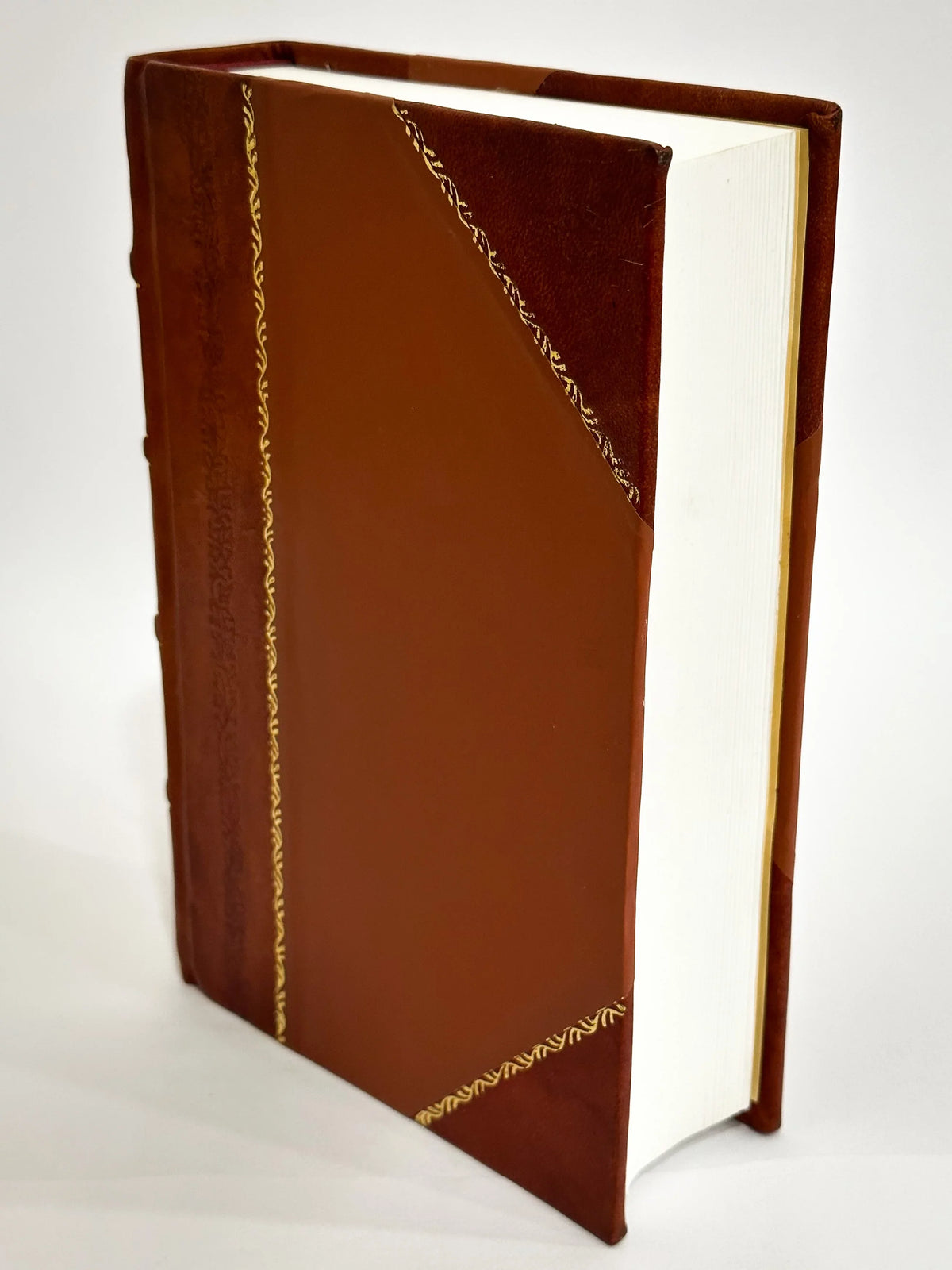 Diario De Un Viage Desde El Fuerte De San Rafael Del Diamante Hasta El De San Lorenzo, En Las Puntas Del Rio Quinto (Etc.) 6 / 1837 Edition (1837) [Leather Bound]