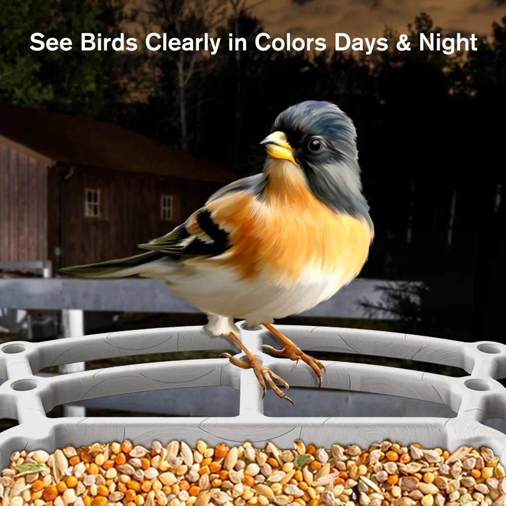 Smart Bird Feeder with Camera, 1080P  Camera Auto Capture Bird Videos & Solar Panel,  Identify Bird Species,  Control 2.4G Wi-Fi Bird House, White