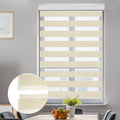 Zebra Blinds for Windows, Dual Layer Roller Sheer Shades Blinds for Day and Night, Light Control Window Treatments Shades with Valance Cover, 29" W x 72" L, Striped Beige