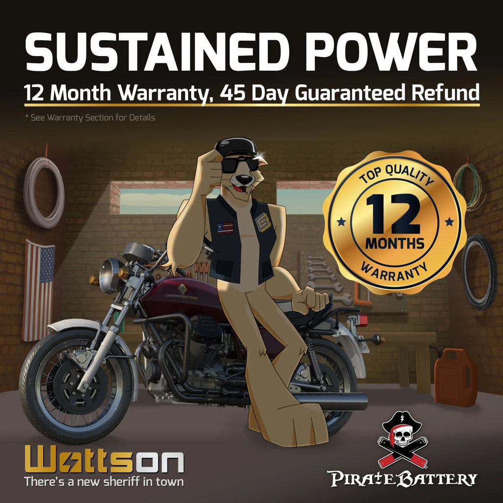 Pirate Battery Y50-N18L-A3 (50-N18L-A3 12 Volt,20 Ah, 260 ) Power Sports Battery replaces Gtx18l-bs M6250h 44006