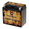 Pirate Battery YTX14- (14- 12 Volt,12 Ah, 200 ) Motorcycle Battery for Honda 1100cc Vt1100c, C3, T Shadow (spirit, Aero, A. C. E. Tourer) 2005