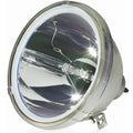 '-44SIZE21RD Original Lamp with Housing with 90 Days Replacement Warranty
