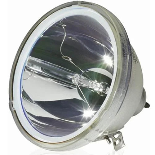 '-44SIZE21RD Original Lamp with Housing with 90 Days Replacement Warranty